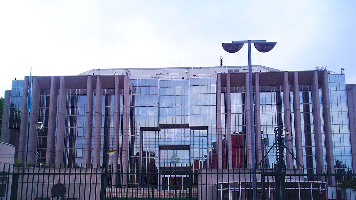 INTERPOL First Light 2026: 5,811 arrests, $293M seized